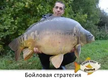 Бойлова стратегія - Тихий вир бойлами