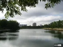 Великий садовий ставок садовий