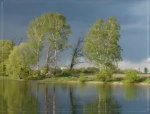 Великий садовий ставок великий