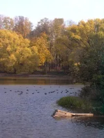 Великий садовий ставок великий