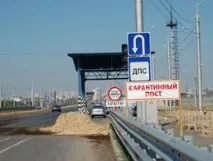 Чума свиней захопила Волгоградську область, Гроші, Аргументи та Факти чума