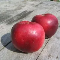 пюре
