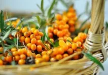Ягоди при подагрі та їх корисні властивості властивості