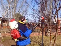 орловимо