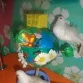 збережемо