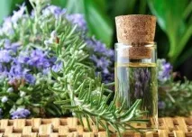 Ефірне масло розмарину властивості та застосування ефірне