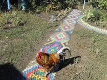 доріжки