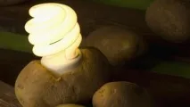 Un experiment despre cum să faci o sursă de lumină din cartofi cu propriile mâini
