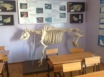 тулінське