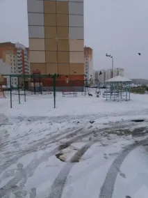 Якщо ви не йдете до зоопарку, то зоопарку йде до вас, Новини Вітебська та Вітебської області зоопарку