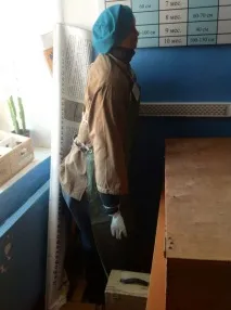 тулінське