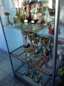 тулінське