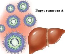 Гепатит А гепатиту