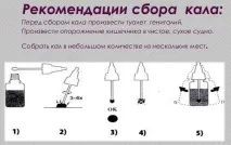Глисти при вагітності, що робити і чим лікувати, симптоми зараження робити