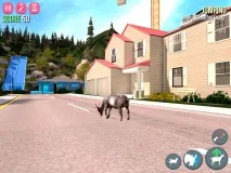 Simulator