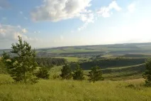 ютазинський