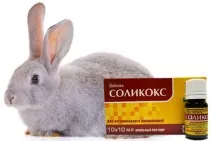 Інструкція із застосування препарату Солікокс для лікування та профілактики курчат та інших птахів профілактики