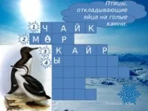 кросворд