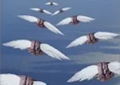 захисту