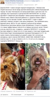 Історія зі щасливим кінцем Як весь Кишинів шукав тер’єра Анечку історія