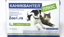 Як дати коту таблетку від глистів? таблетку