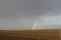 думки