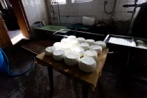 Як роблять адигейський сир в Україні, Як це зроблено україні