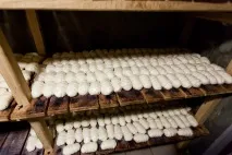 Як роблять адигейський сир в Україні, Як це зроблено зроблено