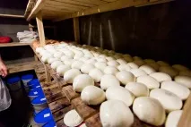 Як роблять адигейський сир в Україні, Як це зроблено адигейський