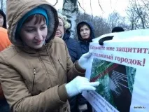 система