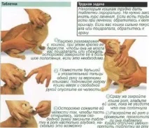 Як дати коту таблетку від глистів? глистів