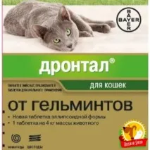 Як дати коту таблетку від глистів? коту