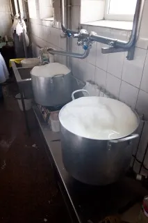Як роблять адигейський сир в Україні, Як це зроблено роблять
