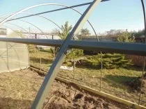 Яким може бути каркас теплиці огляд та порівняння металопрофілю, дерев’яної конструкції, бути