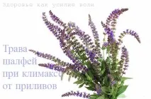 трави