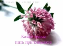 клімаксі