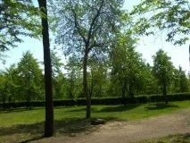 Як відвернутися від чіплявся, відносини між людьми людьми