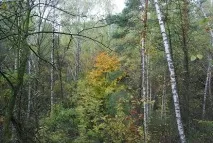 Як правильно помиритися після конфлікту, чоловік та жінка правильно