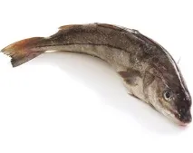 пікші