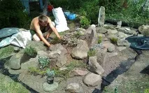 Як зробити альпінарій на ділянці своїми руками своїми