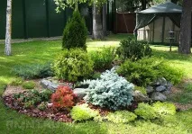 Як зробити альпінарій на ділянці своїми руками зробити