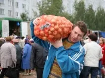 Як правильно зберігати цибулю ріпчасту Домашня скарбничка цибулю