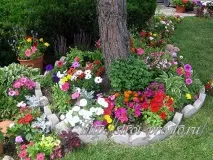 Як зробити красиву клумбу на дачі своїми руками, Сайт про ремонт та будівництво клумбу