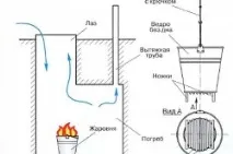 грибок