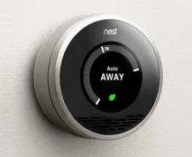 nest