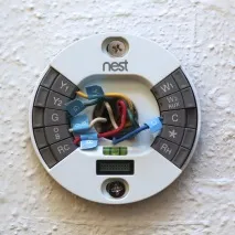 nest