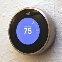 nest