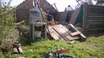 Як я вперше тютюн вирощував вирощував