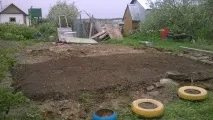 Як я вперше тютюн вирощував було