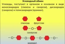 ендокринната